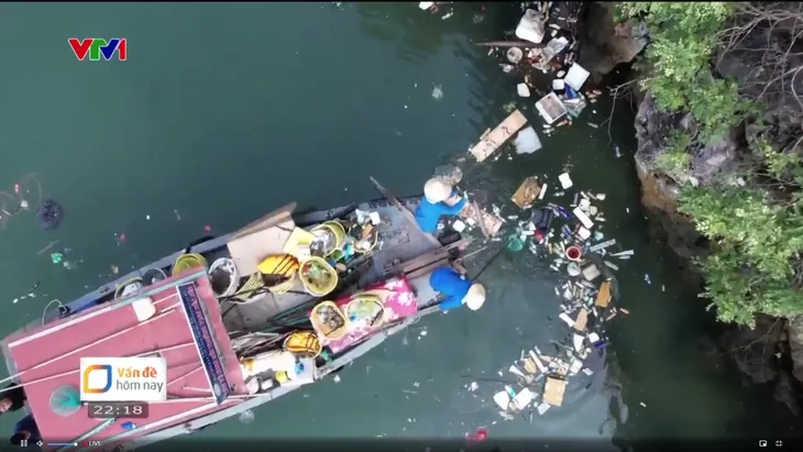 Ô nhiễm môi trường biển phức tạp và nghiêm trọng sau đợt mưa bão - Ảnh 1. Ô nhiễm môi trường biển phức tạp và nghiêm trọng sau đợt mưa bão - Ảnh 1.