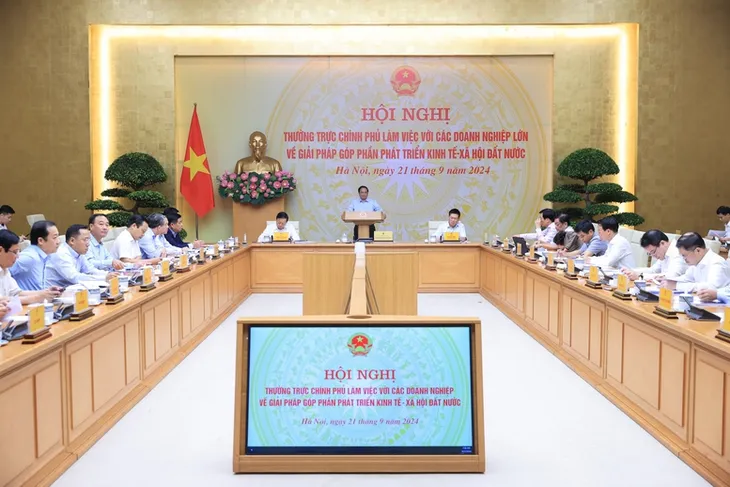 Chính phủ cam kết bảo vệ quyền và lợi ích hợp pháp, chính đáng của doanh nghiệp - Ảnh 1. Chính phủ cam kết bảo vệ quyền và lợi ích hợp pháp, chính đáng của doanh nghiệp - Ảnh 1.