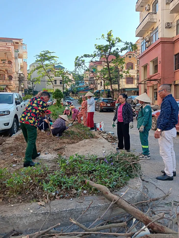 Thành phố Hạ Long đồng loạt xây dựng thành phố hoa, thành phố xanh sau bão - Ảnh 2. Thành phố Hạ Long đồng loạt xây dựng thành phố hoa, thành phố xanh sau bão - Ảnh 2.