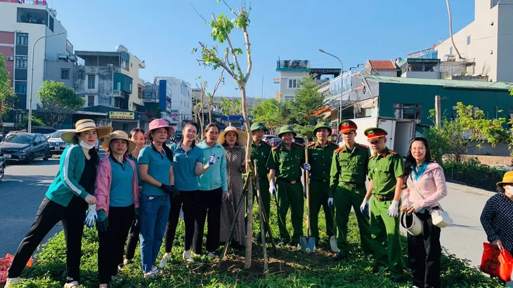 Thành phố Hạ Long đồng loạt xây dựng thành phố hoa, thành phố xanh sau bão - Ảnh 13. Thành phố Hạ Long đồng loạt xây dựng thành phố hoa, thành phố xanh sau bão - Ảnh 13.