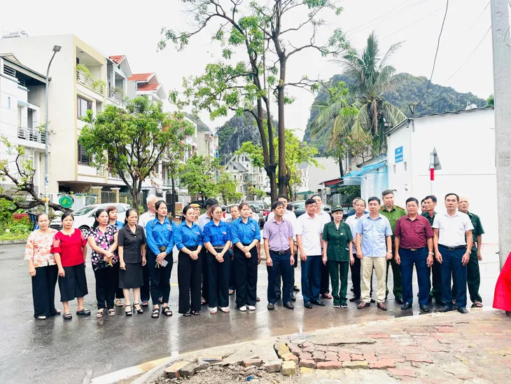 Thành phố Hạ Long đồng loạt xây dựng thành phố hoa, thành phố xanh sau bão - Ảnh 4. Thành phố Hạ Long đồng loạt xây dựng thành phố hoa, thành phố xanh sau bão - Ảnh 4.