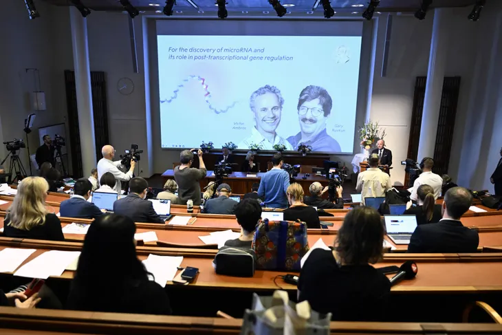 Giải Nobel Y sinh 2024 vinh danh phát minh RNA siêu nhỏ trong điều hòa gene - Ảnh 1. Giải Nobel Y sinh 2024 vinh danh phát minh RNA siêu nhỏ trong điều hòa gene - Ảnh 1.