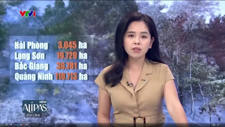 Giải pháp nào để phục hồi và bảo vệ rừng hiệu quả sau thiên tai? - Ảnh 3.