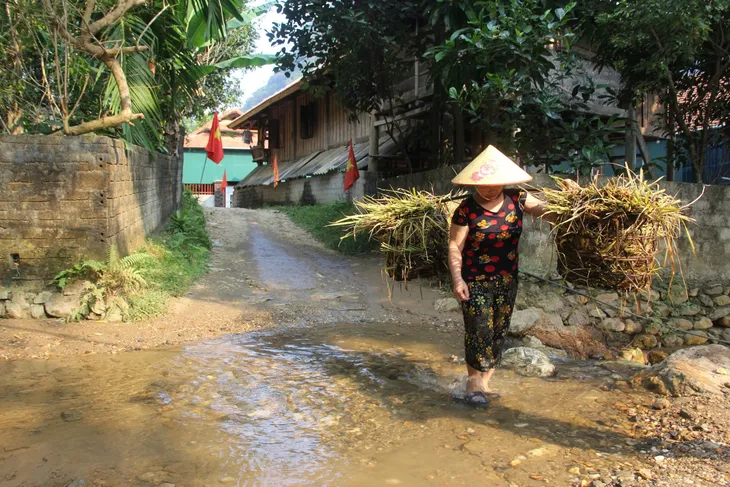 Nghệ An: Xây cầu vượt lũ cho đồng bào dân tộc thiểu số - Ảnh 2. Nghệ An: Xây cầu vượt lũ cho đồng bào dân tộc thiểu số - Ảnh 2.