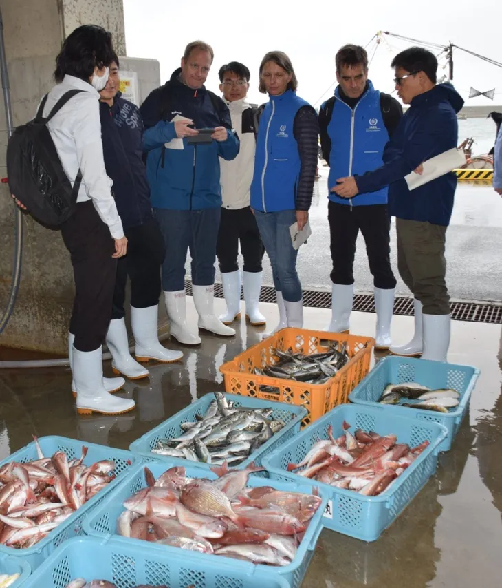 Nhóm công tác của IAEA lấy mẫu cá ngoài khơi Fukushima - Ảnh 1. Nhóm công tác của IAEA lấy mẫu cá ngoài khơi Fukushima - Ảnh 1.