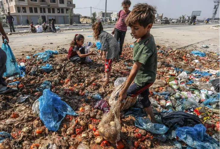 Nạn đói ở Lebanon có thể nghiêm trọng hơn do chiến dịch tấn công của Israel - Ảnh 1. Nạn đói ở Lebanon có thể nghiêm trọng hơn do chiến dịch tấn công của Israel - Ảnh 1.