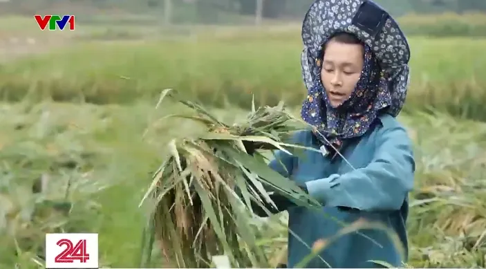 Làng Nủ tìm phương án khôi phục sản xuất nông nghiệp - Ảnh 2. Làng Nủ tìm phương án khôi phục sản xuất nông nghiệp - Ảnh 2.