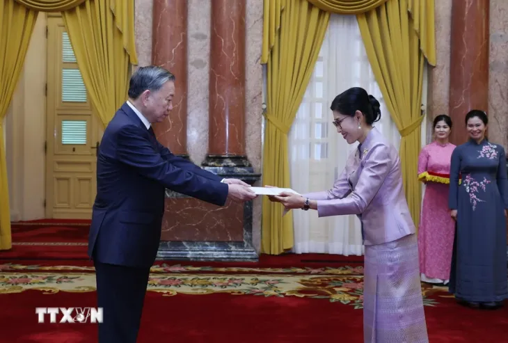 Tổng Bí thư, Chủ tịch nước Tô Lâm tiếp các Đại sứ trình Quốc thư - Ảnh 2. Tổng Bí thư, Chủ tịch nước Tô Lâm tiếp các Đại sứ trình Quốc thư - Ảnh 2.