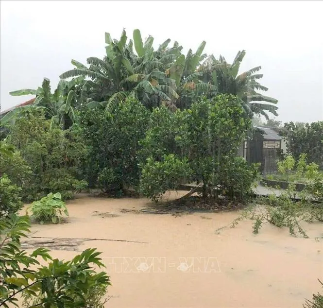 Mưa lớn gây ngập cục bộ tại nhiều địa phương ở Nghệ An - Ảnh 1. Mưa lớn gây ngập cục bộ tại nhiều địa phương ở Nghệ An - Ảnh 1.