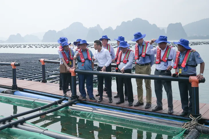 Phát triển bền vững nuôi trồng thủy hải sản - Ảnh 1. Phát triển bền vững nuôi trồng thủy hải sản - Ảnh 1.