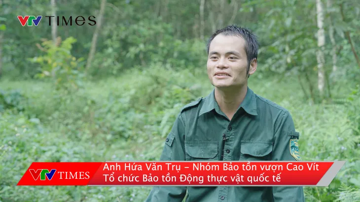 Cao Bằng: Nỗ lực bảo tồn vượn Cao Vít - Ảnh 2. Cao Bằng: Nỗ lực bảo tồn vượn Cao Vít - Ảnh 2.