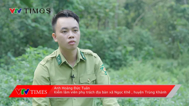 Cao Bằng: Nỗ lực bảo tồn vượn Cao Vít - Ảnh 3. Cao Bằng: Nỗ lực bảo tồn vượn Cao Vít - Ảnh 3.