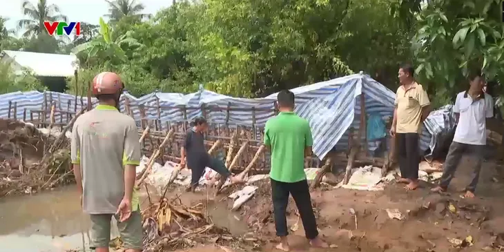 Đồng Tháp: Gia cố bờ bao, bảo vệ vường cây ăn trái khỏi triều cường - Ảnh 1. Đồng Tháp: Gia cố bờ bao, bảo vệ vường cây ăn trái khỏi triều cường - Ảnh 1.
