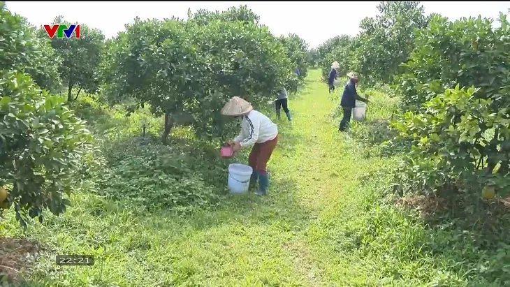 Gần 120.000 hecta đất nông nghiệp bị thoái hóa và giải pháp quản lý đất bền vững - Ảnh 4.