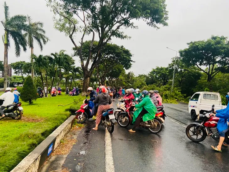 Cây xanh đổ chắn ngang Quốc lộ 51, giao thông cửa ngõ Vũng Tàu ùn ứ gần 5km - Ảnh 3. Cây xanh đổ chắn ngang Quốc lộ 51, giao thông cửa ngõ Vũng Tàu ùn ứ gần 5km - Ảnh 3.