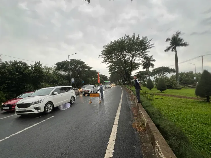 Cây xanh đổ chắn ngang Quốc lộ 51, giao thông cửa ngõ Vũng Tàu ùn ứ gần 5km - Ảnh 1. Cây xanh đổ chắn ngang Quốc lộ 51, giao thông cửa ngõ Vũng Tàu ùn ứ gần 5km - Ảnh 1.