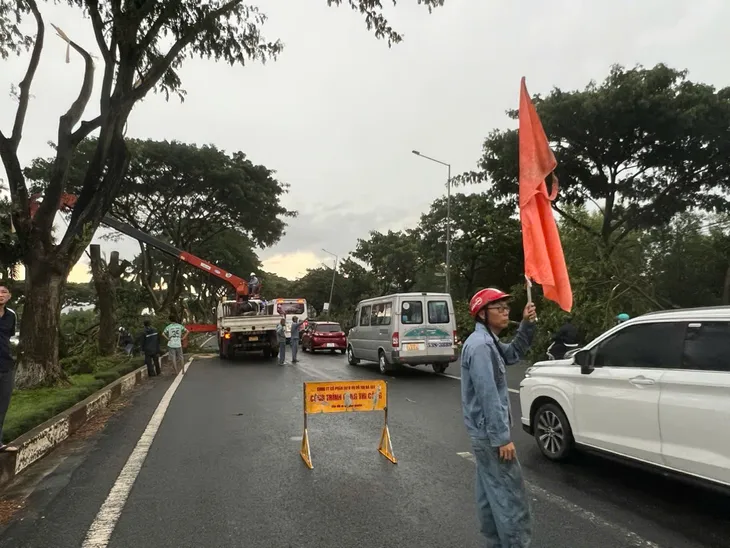 Cây xanh đổ chắn ngang Quốc lộ 51, giao thông cửa ngõ Vũng Tàu ùn ứ gần 5km - Ảnh 4. Cây xanh đổ chắn ngang Quốc lộ 51, giao thông cửa ngõ Vũng Tàu ùn ứ gần 5km - Ảnh 4.