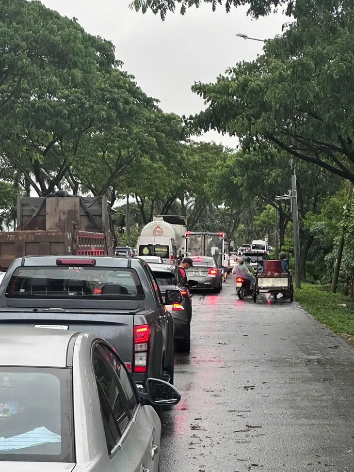 Cây xanh đổ chắn ngang Quốc lộ 51, giao thông cửa ngõ Vũng Tàu ùn ứ gần 5km - Ảnh 2. Cây xanh đổ chắn ngang Quốc lộ 51, giao thông cửa ngõ Vũng Tàu ùn ứ gần 5km - Ảnh 2.
