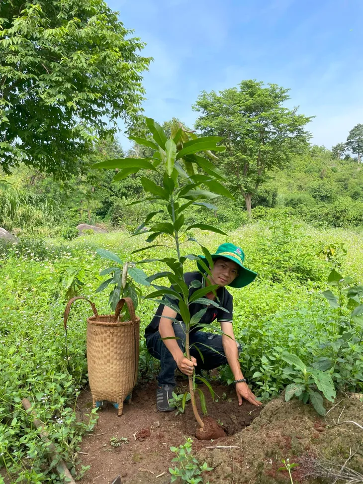 Bỏ phố vào rừng để giữ đại ngàn xanh - Ảnh 3. Bỏ phố vào rừng để giữ đại ngàn xanh - Ảnh 3.