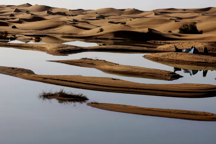 Lũ lụt hiếm thấy ở sa mạc Sahara - Ảnh 1. Lũ lụt hiếm thấy ở sa mạc Sahara - Ảnh 1.