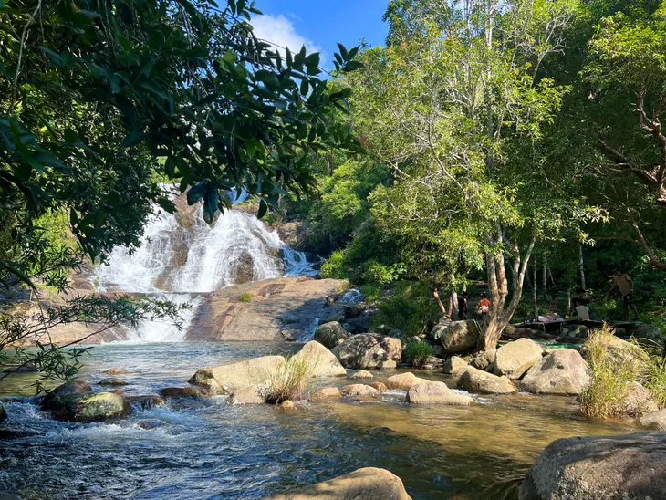 Bỏ phố vào rừng để giữ đại ngàn xanh - Ảnh 1. Bỏ phố vào rừng để giữ đại ngàn xanh - Ảnh 1.