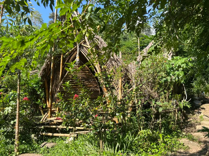 Bỏ phố vào rừng để giữ đại ngàn xanh - Ảnh 2. Bỏ phố vào rừng để giữ đại ngàn xanh - Ảnh 2.