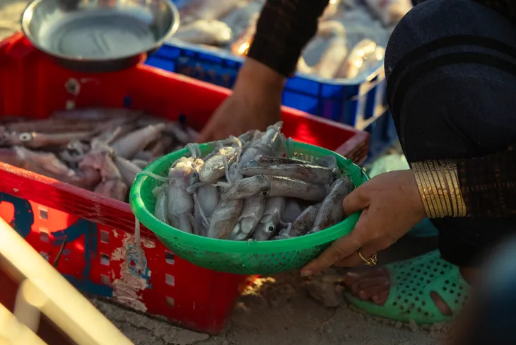 Về Ninh Thuỷ, khám phá chợ cá và tận hưởng cuộc sống miền biển - Ảnh 5. Về Ninh Thuỷ, khám phá chợ cá và tận hưởng cuộc sống miền biển - Ảnh 5.