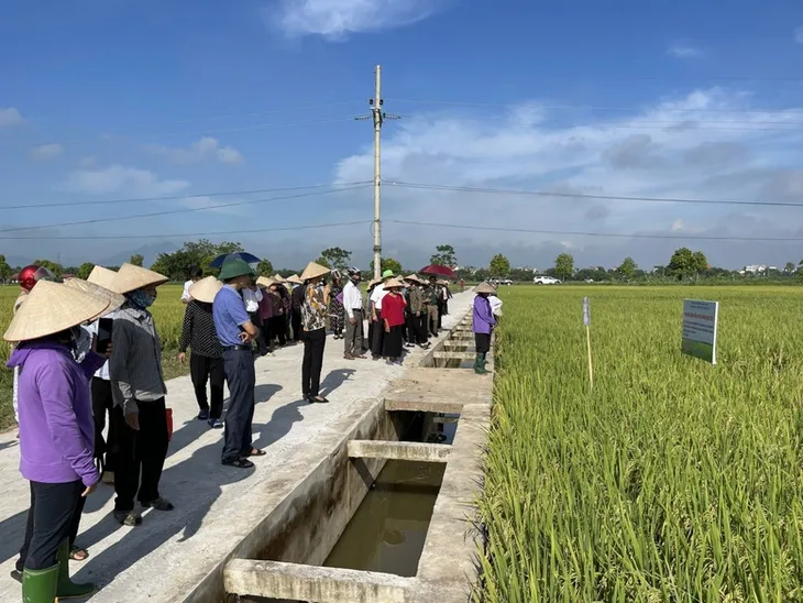 Khó hoàn thành mục tiêu xây dựng nông thôn mới - Ảnh 1.