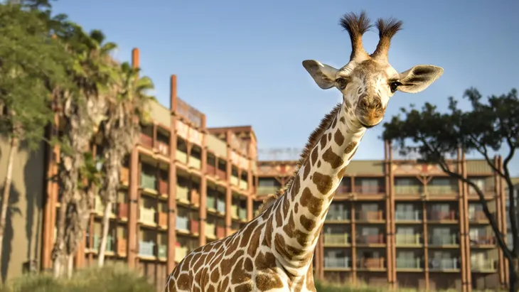 Walt Disney World Resorts: Thiên đường công viên giải trí lớn nhất thế giới - Ảnh 7. Walt Disney World Resorts: Thiên đường công viên giải trí lớn nhất thế giới - Ảnh 7.