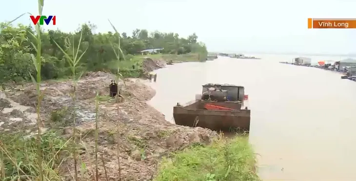 Vĩnh Long: Bảo vệ vườn cây ăn quả trước nguy cơ sạt lở do triều cường - Ảnh 1. Vĩnh Long: Bảo vệ vườn cây ăn quả trước nguy cơ sạt lở do triều cường - Ảnh 1.