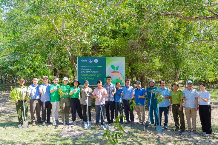 Hợp tác triển khai các dự án trồng và bảo tồn rừng, cùng người dùng góp phần giảm phát thải carbon - Ảnh 1. Hợp tác triển khai các dự án trồng và bảo tồn rừng, cùng người dùng góp phần giảm phát thải carbon - Ảnh 1.