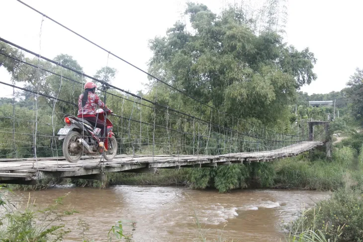 Đắk Lắk: Hơn 200 cây cầu dân sinh xuống cấp, tiềm ẩn nguy cơ tai nạn - Ảnh 1. Đắk Lắk: Hơn 200 cây cầu dân sinh xuống cấp, tiềm ẩn nguy cơ tai nạn - Ảnh 1.