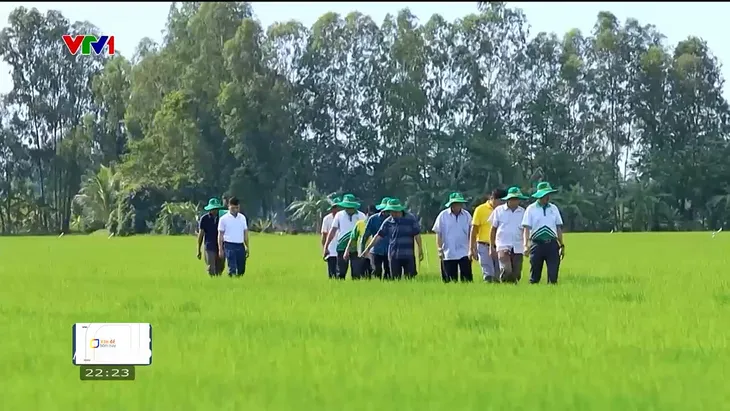 Thúc đẩy chuyển giao công nghệ cho người nông dân để nâng tầm nông sản Việt - Ảnh 6. Thúc đẩy chuyển giao công nghệ cho người nông dân để nâng tầm nông sản Việt - Ảnh 6.
