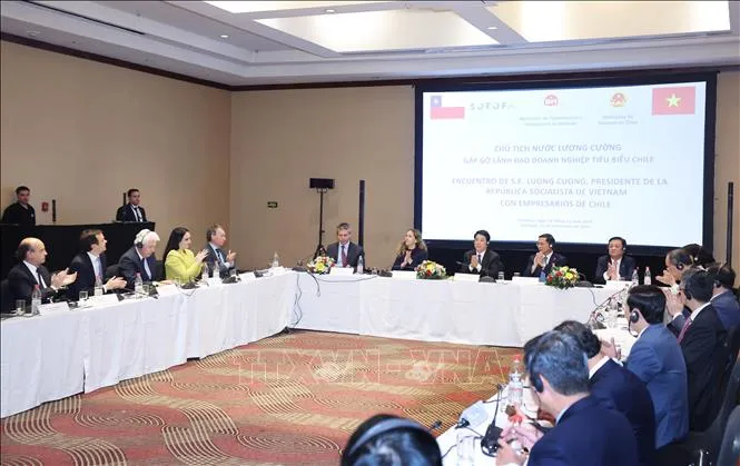 Chủ tịch nước Lương Cường gặp gỡ lãnh đạo doanh nghiệp tiêu biểu Chile - Ảnh 1. Chủ tịch nước Lương Cường gặp gỡ lãnh đạo doanh nghiệp tiêu biểu Chile - Ảnh 1.