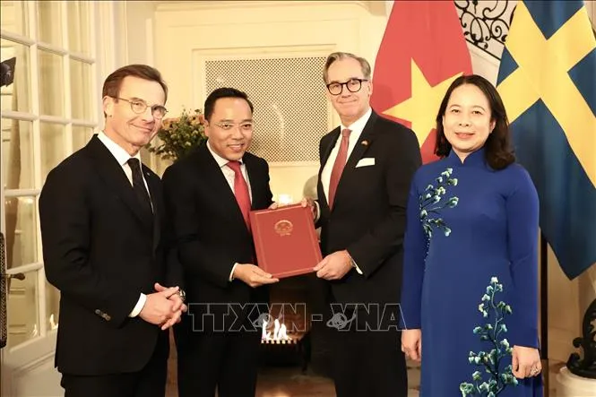 Phó Chủ tịch nước Võ Thị Ánh Xuân hội đàm với Thủ tướng Vương Quốc Thụy Điển - Ảnh 1.