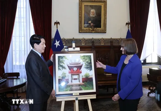 Quan hệ Việt Nam - Chile sẽ tiếp tục vươn lên những tầm cao mới - Ảnh 4. Quan hệ Việt Nam - Chile sẽ tiếp tục vươn lên những tầm cao mới - Ảnh 4.