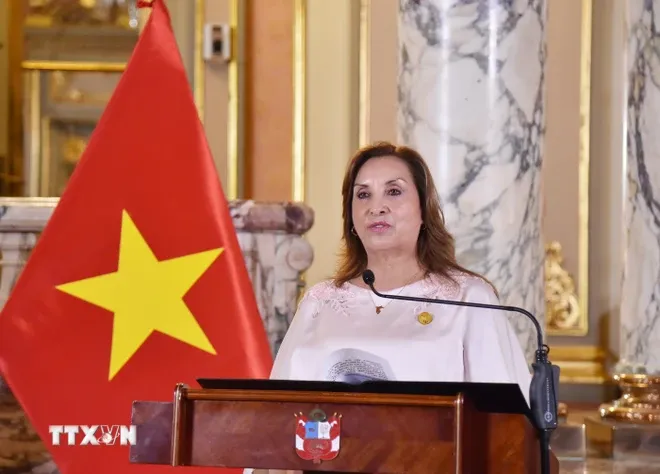Chủ tịch nước Lương Cường và Tổng thống Peru gặp gỡ báo chí - Ảnh 1. Chủ tịch nước Lương Cường và Tổng thống Peru gặp gỡ báo chí - Ảnh 1.