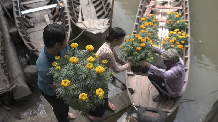 Cồn Sơn - Viên ngọc xanh giữa sông Hậu, điểm đến du lịch cộng đồng lý tưởng - Ảnh 22. Cồn Sơn - Viên ngọc xanh giữa sông Hậu, điểm đến du lịch cộng đồng lý tưởng - Ảnh 22.