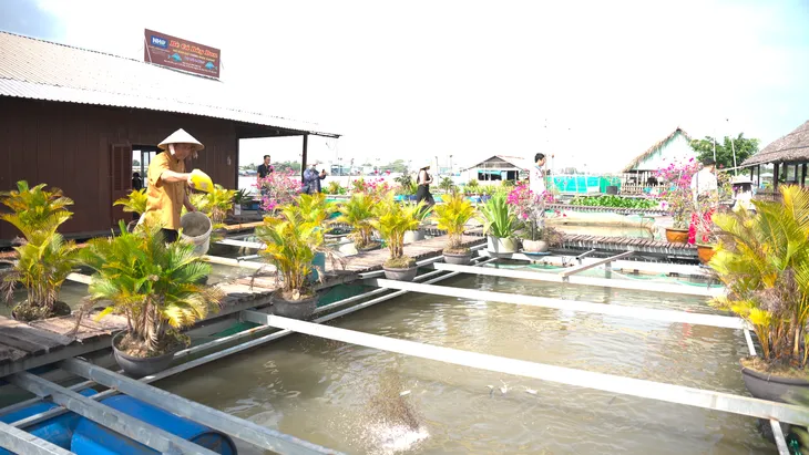 Cồn Sơn - Viên ngọc xanh giữa sông Hậu, điểm đến du lịch cộng đồng lý tưởng - Ảnh 6. Cồn Sơn - Viên ngọc xanh giữa sông Hậu, điểm đến du lịch cộng đồng lý tưởng - Ảnh 6.