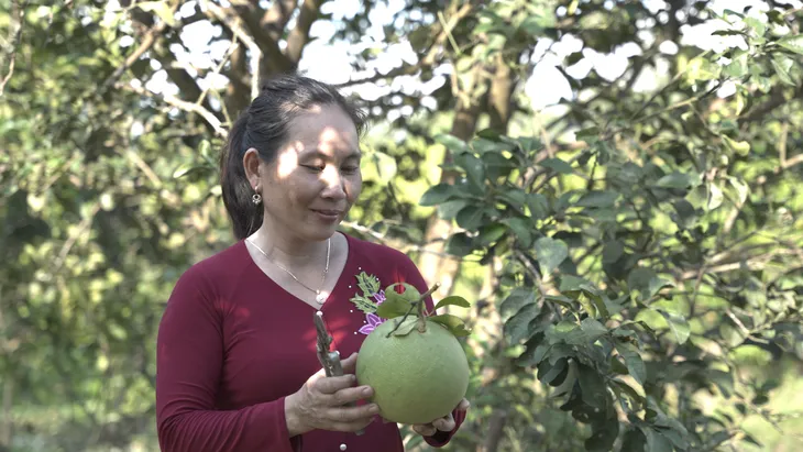 Cồn Sơn - Viên ngọc xanh giữa sông Hậu, điểm đến du lịch cộng đồng lý tưởng - Ảnh 17. Cồn Sơn - Viên ngọc xanh giữa sông Hậu, điểm đến du lịch cộng đồng lý tưởng - Ảnh 17.