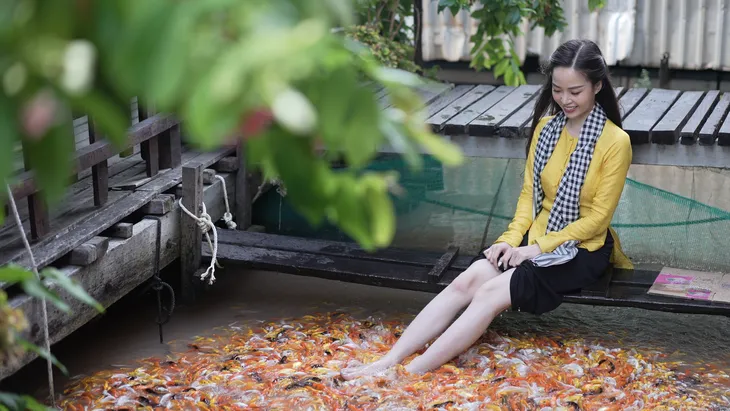 Cồn Sơn - Viên ngọc xanh giữa sông Hậu, điểm đến du lịch cộng đồng lý tưởng - Ảnh 8. Cồn Sơn - Viên ngọc xanh giữa sông Hậu, điểm đến du lịch cộng đồng lý tưởng - Ảnh 8.