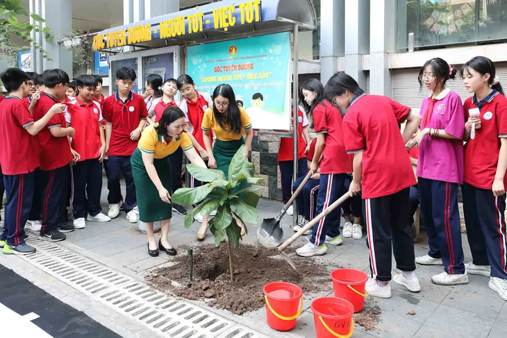 Trồng cây bàng vuông để thêm yêu biển đảo quê hương - Ảnh 2. Trồng cây bàng vuông để thêm yêu biển đảo quê hương - Ảnh 2.