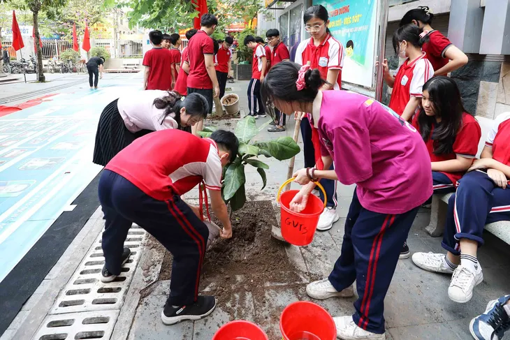 Trồng cây bàng vuông để thêm yêu biển đảo quê hương - Ảnh 3. Trồng cây bàng vuông để thêm yêu biển đảo quê hương - Ảnh 3.