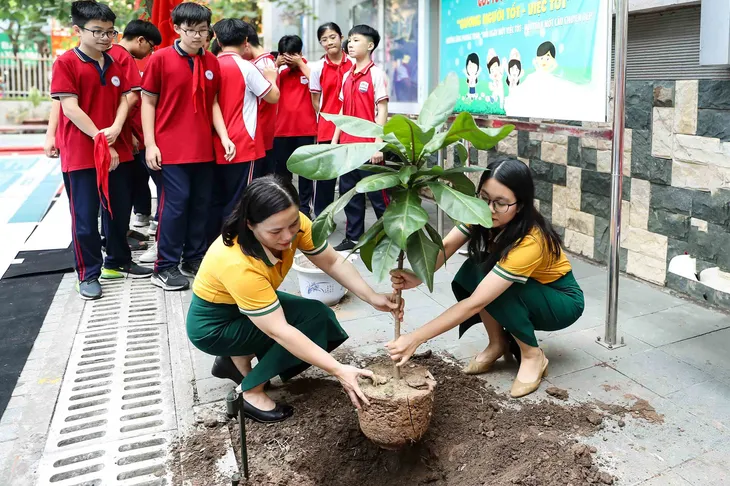 Trồng cây bàng vuông để thêm yêu biển đảo quê hương - Ảnh 1. Trồng cây bàng vuông để thêm yêu biển đảo quê hương - Ảnh 1.
