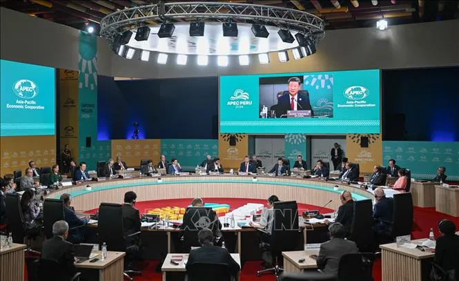 APEC kêu gọi tăng cường hợp tác đa phương - Ảnh 1. APEC kêu gọi tăng cường hợp tác đa phương - Ảnh 1.