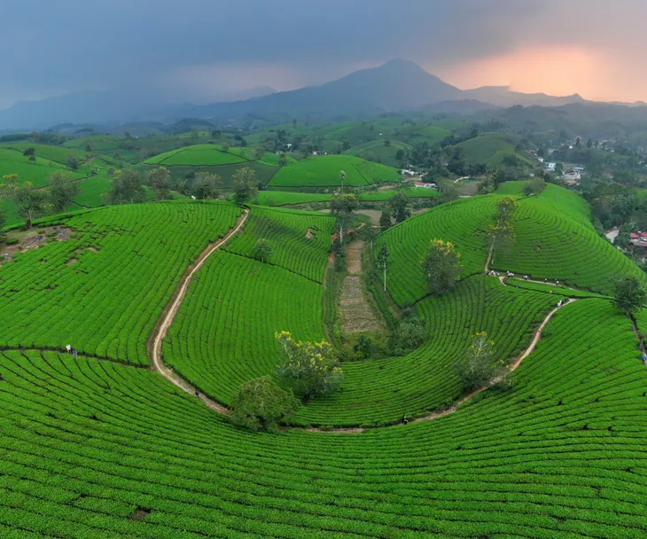 Ngắm dải Ngân hà trong màn đêm và đón bình minh bồng bềnh ở đồi chè Long Cốc - Ảnh 9. Ngắm dải Ngân hà trong màn đêm và đón bình minh bồng bềnh ở đồi chè Long Cốc - Ảnh 9.