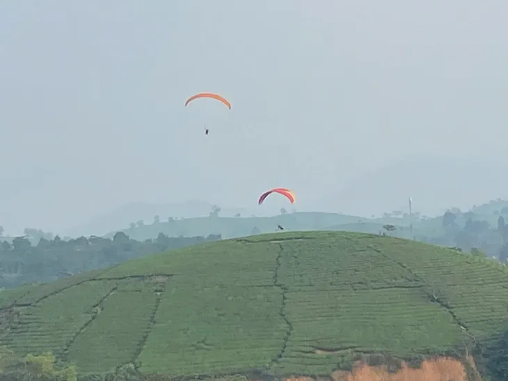 Ngắm dải Ngân hà trong màn đêm và đón bình minh bồng bềnh ở đồi chè Long Cốc - Ảnh 8. Ngắm dải Ngân hà trong màn đêm và đón bình minh bồng bềnh ở đồi chè Long Cốc - Ảnh 8.