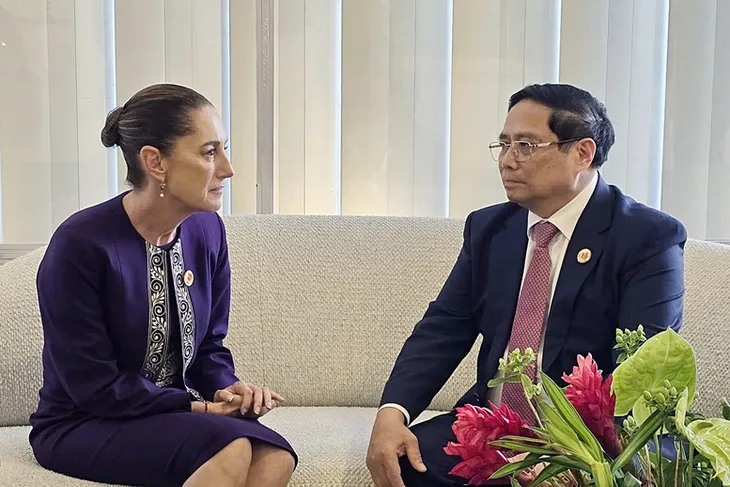 Lãnh đạo nhiều nước muốn nâng cấp quan hệ với Việt Nam - Ảnh 3. Lãnh đạo nhiều nước muốn nâng cấp quan hệ với Việt Nam - Ảnh 3.
