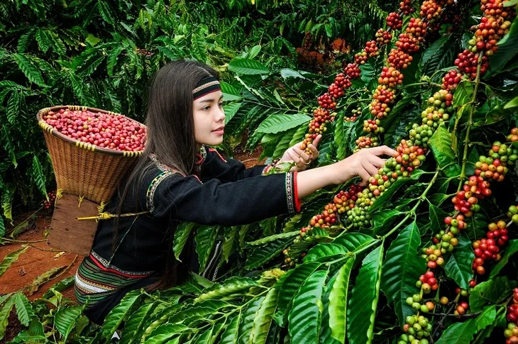 TP Buôn Ma Thuột: Mục tiêu phát triển bền vững trở thành đô thị Trung tâm vùng Tây Nguyên - Ảnh 3. TP Buôn Ma Thuột: Mục tiêu phát triển bền vững trở thành đô thị Trung tâm vùng Tây Nguyên - Ảnh 3.
