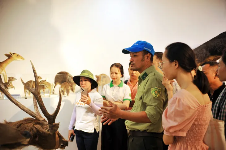 Kiểm lâm hăng hái làm hướng dẫn viên du lịch để kể chuyện về rừng - Ảnh 4. Kiểm lâm hăng hái làm hướng dẫn viên du lịch để kể chuyện về rừng - Ảnh 4.